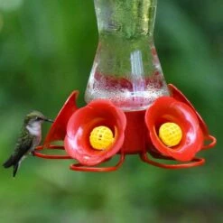 Perky-Pet® Favored Pinch-Waist Glass Hummingbird Feeder -birds Shop 204cp 4 d 8