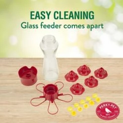Perky-Pet® Favored Pinch-Waist Glass Hummingbird Feeder -birds Shop 204cp 4 ig02