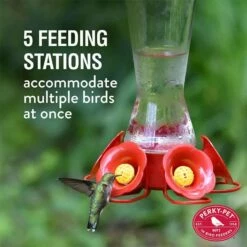 Perky-Pet® Favored Pinch-Waist Glass Hummingbird Feeder -birds Shop 204cp 4 ig05
