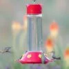 Perky-Pet® Our Best Glass Hummingbird Feeder