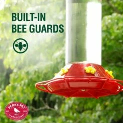 Perky-Pet® Our Best Glass Hummingbird Feeder 11 Perky-Pet® Our Best Glass Hummingbird Feeder -birds Shop 209b info3 698