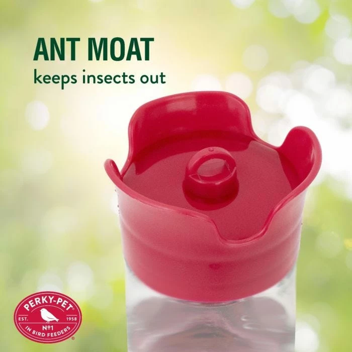 Perky-Pet® Our Best Glass Hummingbird Feeder 6 Perky-Pet® Our Best Glass Hummingbird Feeder - Image 6