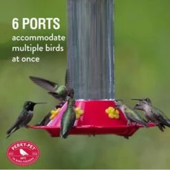 Perky-Pet® Our Best Glass Hummingbird Feeder 13 Perky-Pet® Our Best Glass Hummingbird Feeder -birds Shop 209b info5 698