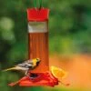 Perky-Pet® Fruit Trio Oriole Nectar Feeder