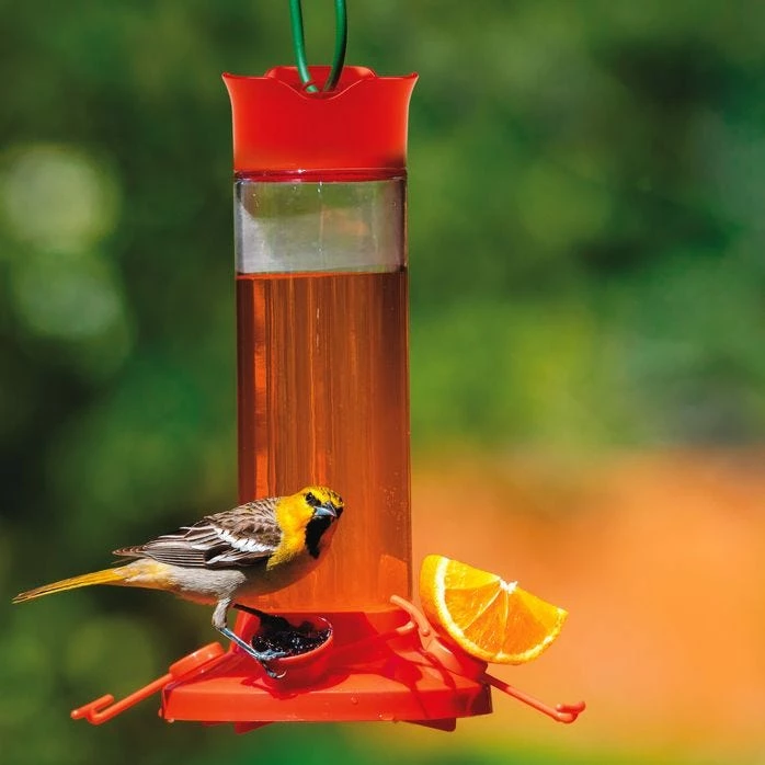Perky-Pet® Fruit Trio Oriole Nectar Feeder 1 Perky-Pet® Fruit Trio Oriole Nectar Feeder