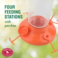 Perky-Pet® Fruit Trio Oriole Nectar Feeder 15 Perky-Pet® Fruit Trio Oriole Nectar Feeder -birds Shop 209bo 4 info5 698