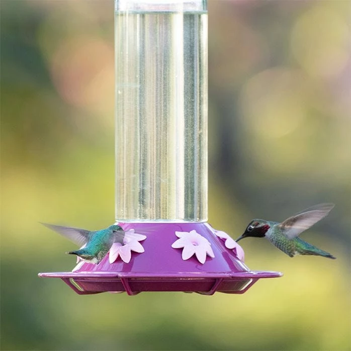 Perky-Pet® Our Best Royal Berry Hummingbird Feeder 13 Perky-Pet® Our Best Royal Berry Hummingbird Feeder - Image 13