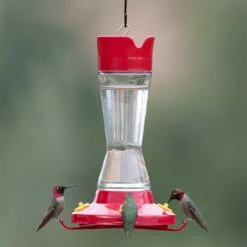 Perky-Pet® Pinch Waist Glass Hummingbird Feeder - 1 Feeder 23 Perky-Pet® Pinch Waist Glass Hummingbird Feeder - 1 Feeder -birds Shop 210pb 09