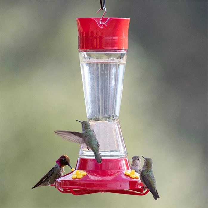 Perky-Pet® Pinch Waist Glass Hummingbird Feeder - 1 Feeder 2 Perky-Pet® Pinch Waist Glass Hummingbird Feeder - 1 Feeder - Image 2