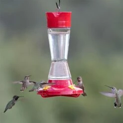 Perky-Pet® Pinch Waist Glass Hummingbird Feeder - 1 Feeder 20 Perky-Pet® Pinch Waist Glass Hummingbird Feeder - 1 Feeder -birds Shop 210pb 11