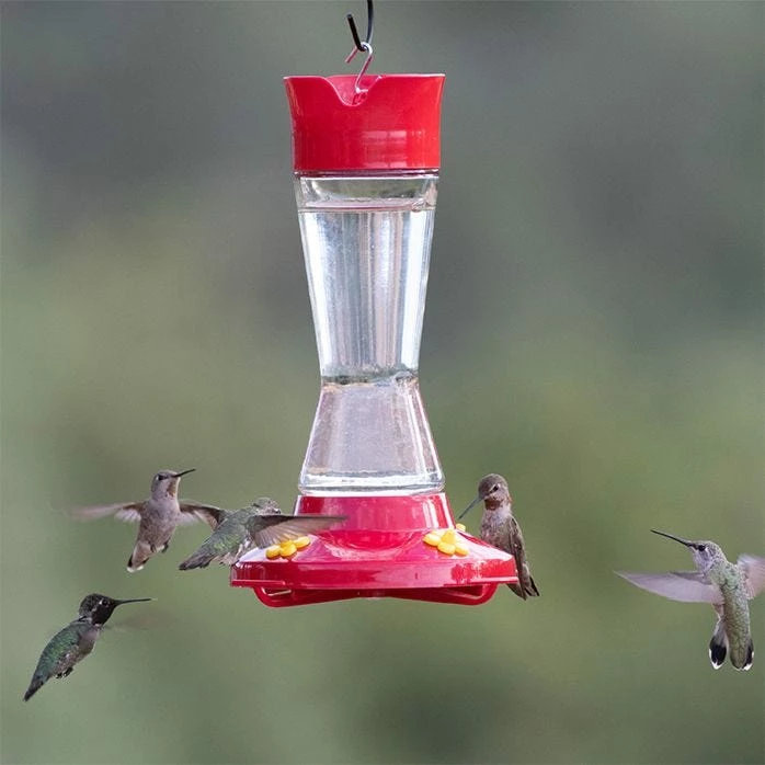 Perky-Pet® Pinch Waist Glass Hummingbird Feeder - 1 Feeder 9 Perky-Pet® Pinch Waist Glass Hummingbird Feeder - 1 Feeder - Image 9