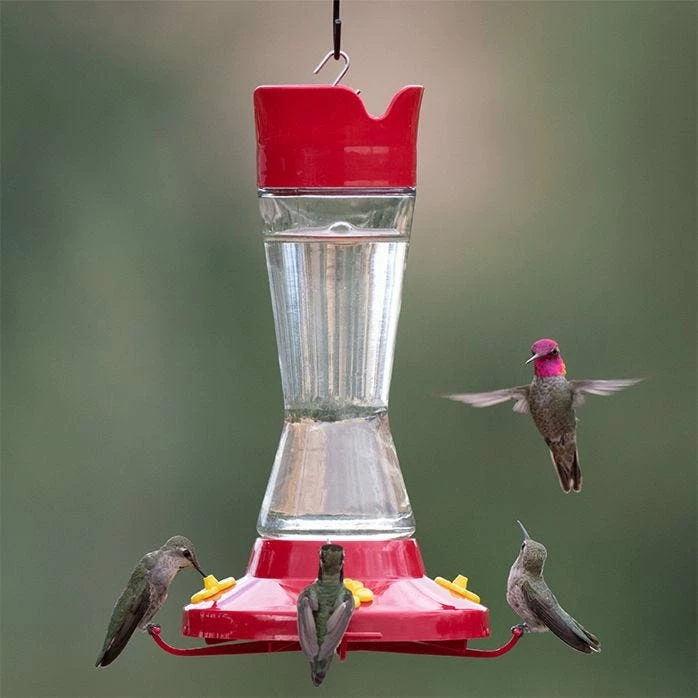 Perky-Pet® Pinch Waist Glass Hummingbird Feeder - 1 Feeder 11 Perky-Pet® Pinch Waist Glass Hummingbird Feeder - 1 Feeder - Image 11