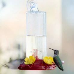 Perky-Pet® Window-Mount Hummingbird Feeder -birds Shop 217 a1