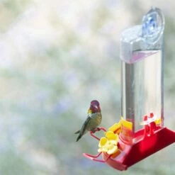 Perky-Pet® Window-Mount Hummingbird Feeder -birds Shop 217 a 4 1