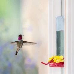 Perky-Pet® Window-Mount Hummingbird Feeder -birds Shop 217 a 6