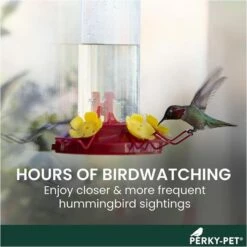 Perky-Pet® Window-Mount Hummingbird Feeder -birds Shop 217 info1 698 1