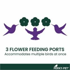 Perky-Pet® Window-Mount Hummingbird Feeder -birds Shop 217 info2 698 1
