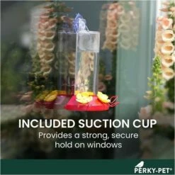 Perky-Pet® Window-Mount Hummingbird Feeder -birds Shop 217 info3 698 1