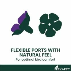 Perky-Pet® Window-Mount Hummingbird Feeder -birds Shop 217 info4 698 1