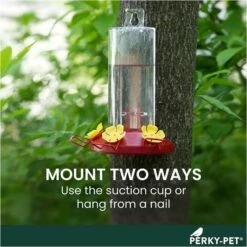 Perky-Pet® Window-Mount Hummingbird Feeder -birds Shop 217 info5 698 1