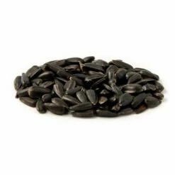 Black Sunflower Seeds - Bird Food 6 Black Sunflower Seeds - Bird Food -birds Shop 23004 1