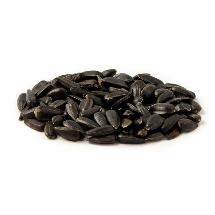 Black Sunflower Seeds - Bird Food 3 Black Sunflower Seeds - Bird Food - Image 3