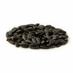 Organic Black Sunflower Seeds 2.5kg - Bird Food -birds Shop 23004 zwarte zonnebloempitten es 1
