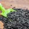 Black Sunflower Seeds - Bird Food