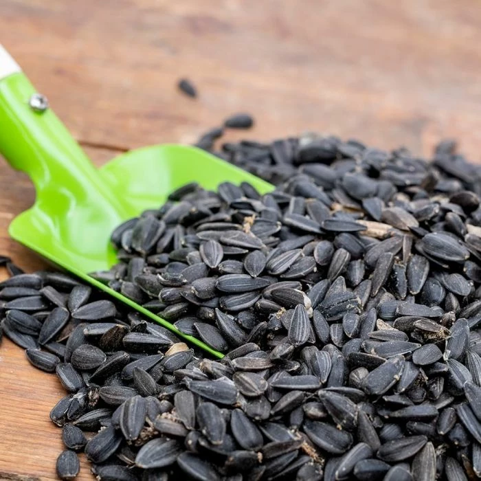 Black Sunflower Seeds - Bird Food 1 Black Sunflower Seeds - Bird Food
