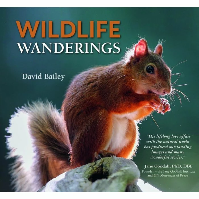 Wildlife Wanderings Book 1 Wildlife Wanderings Book