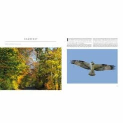 Wildlife Wanderings Book 6 Wildlife Wanderings Book -birds Shop 251707 2