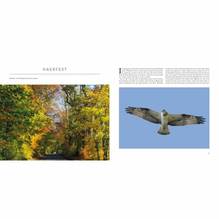 Wildlife Wanderings Book 3 Wildlife Wanderings Book - Image 3