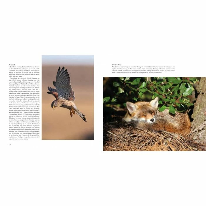 Wildlife Wanderings Book 2 Wildlife Wanderings Book - Image 2