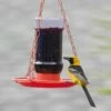 Perky-Pet® Oriole Jelly Wild Bird Feeder
