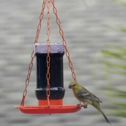 Perky-Pet® Oriole Jelly Wild Bird Feeder 18 Perky-Pet® Oriole Jelly Wild Bird Feeder -birds Shop 253 d 5