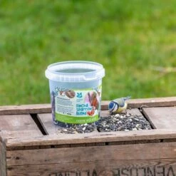 National Trust Kids Finch & Sparrow Blend