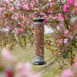 National Trust Premium Peanuts For Birds -birds Shop 300950119 apollo peanut feeder 200450120 premium whole peanuts dv 0742 2