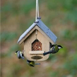 Premium Whole Peanuts - Bird Food -birds Shop 30400 5