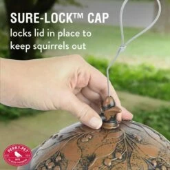 Perky-Pet® Holly Berry Gilded Chalet Wild Bird Feeder -birds Shop 305 info3 698