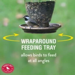 Perky-Pet® Holly Berry Gilded Chalet Wild Bird Feeder -birds Shop 305 info5 698