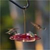 More Birds® Bird Health 3-in-1 Hummingbird Feeder - 6 Oz