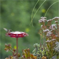 More Birds® Bird Health 3-in-1 Hummingbird Feeder - 6 Oz -birds Shop 30 3 lifestyle