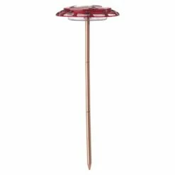 More Birds® Bird Health 3-in-1 Hummingbird Feeder - 6 Oz -birds Shop 30 6 silo