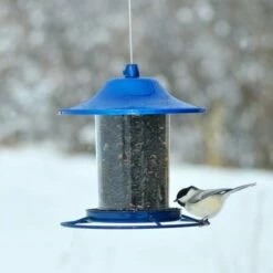 Perky-Pet® Blue Sparkle Panorama Bird Feeder 15 Perky-Pet® Blue Sparkle Panorama Bird Feeder -birds Shop 312b d 2