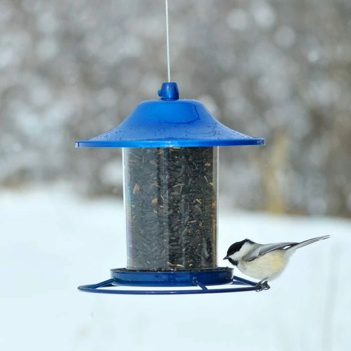 Perky-Pet® Blue Sparkle Panorama Bird Feeder 8 Perky-Pet® Blue Sparkle Panorama Bird Feeder - Image 8