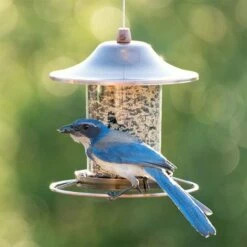 Perky-Pet® Copper Finish Panorama Feeder - 2 Lb Seed Capacity -birds Shop 312c 10