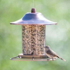Perky-Pet® Copper Finish Panorama Feeder - 2 Lb Seed Capacity -birds Shop 312c 11