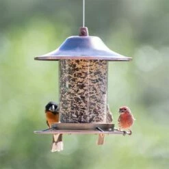 Perky-Pet® Copper Finish Panorama Feeder - 2 Lb Seed Capacity