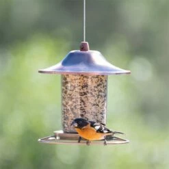 Perky-Pet® Copper Finish Panorama Feeder - 2 Lb Seed Capacity -birds Shop 312c 9