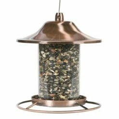Perky-Pet® Copper Finish Panorama Feeder - 2 Lb Seed Capacity -birds Shop 312c d 1